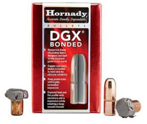Hornady 375 300gr DGX Bonded bullets