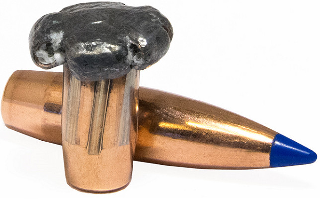 Norma Bondstrike 30 cal 180gr polymer-tipped bonded bullet